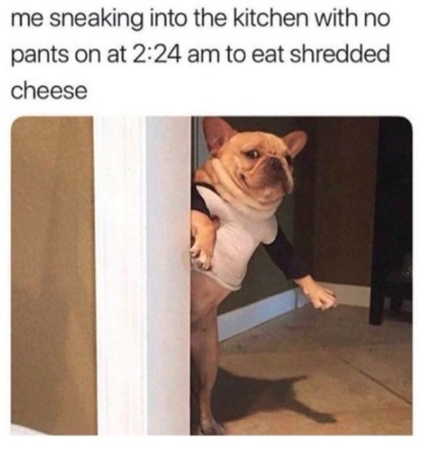 Memes For Cheese Lovers (43 pics)