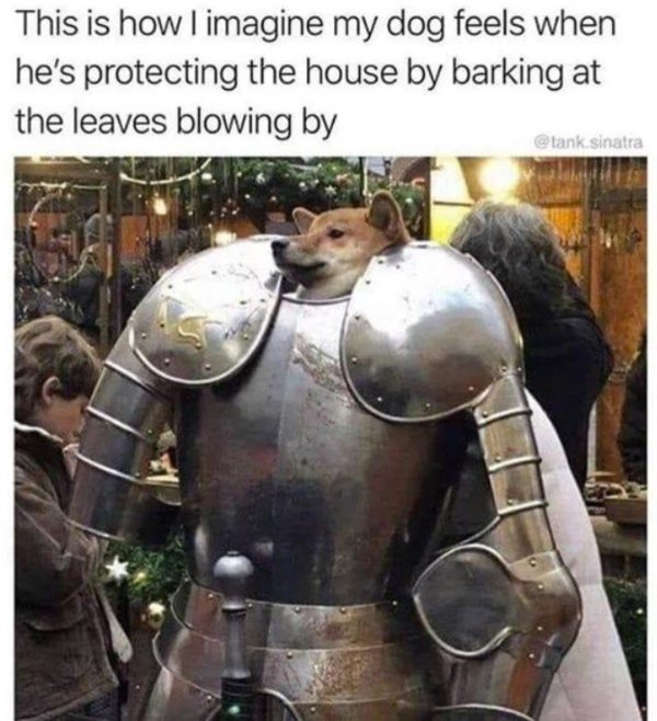 Kind Memes (49 pics)