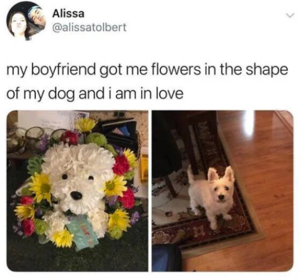 Kind Memes (49 pics)