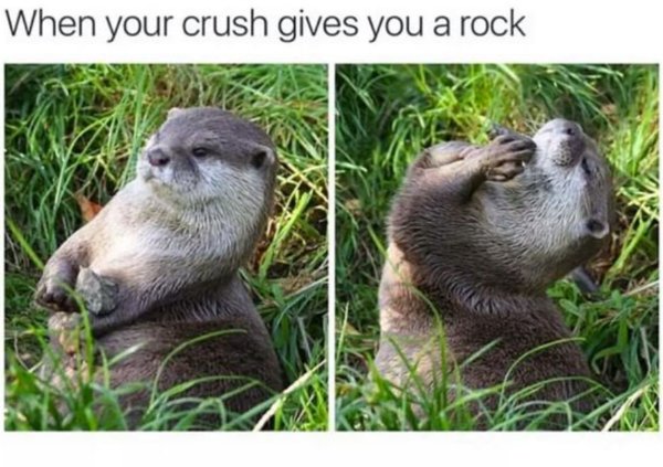 Kind Memes (49 pics)