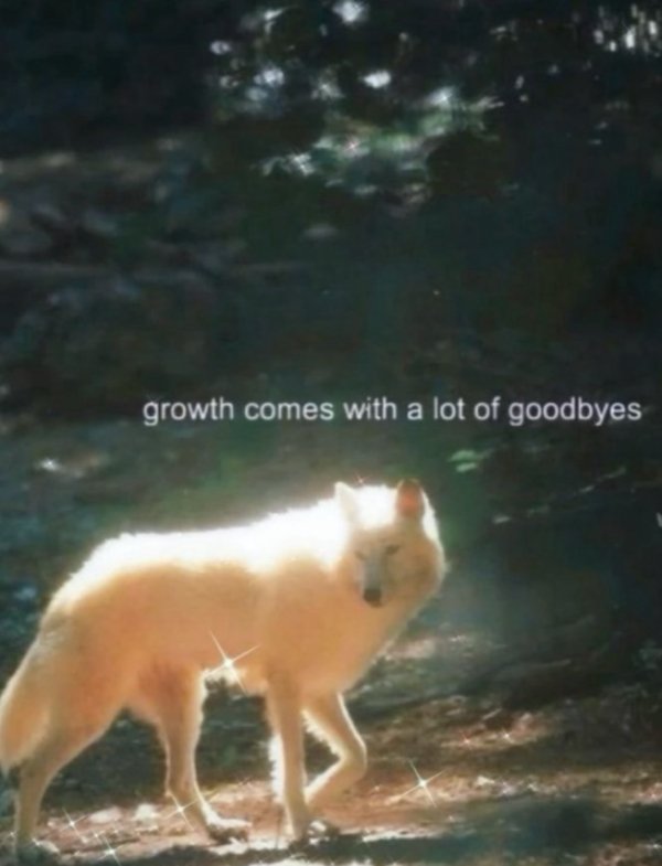 Kind Memes (49 pics)