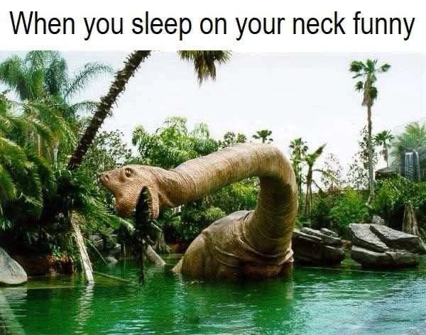 Funny Memes (28 pics)