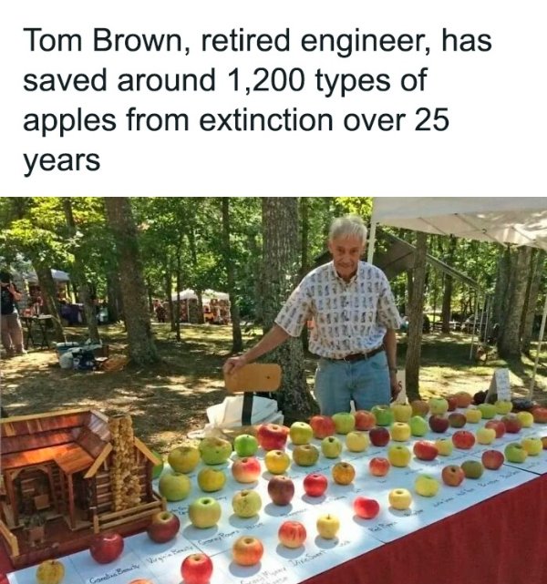 Kind Memes (49 pics)