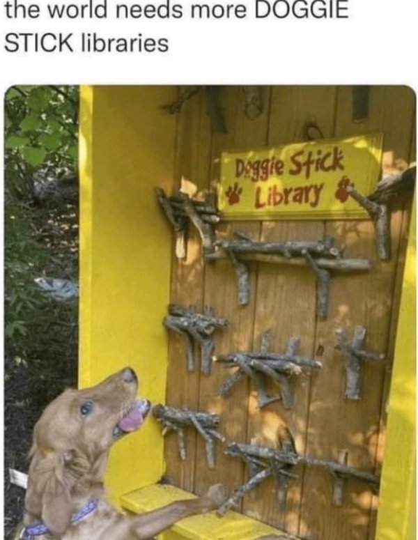 Kind Memes (49 pics)