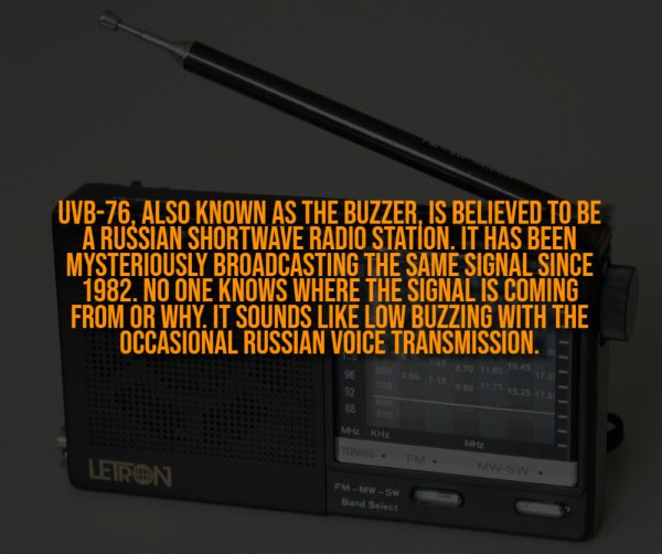 Creepy Facts (14 pics)