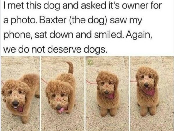 Kind Memes (49 pics)