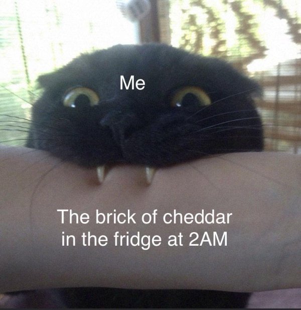Memes For Cheese Lovers (43 pics)