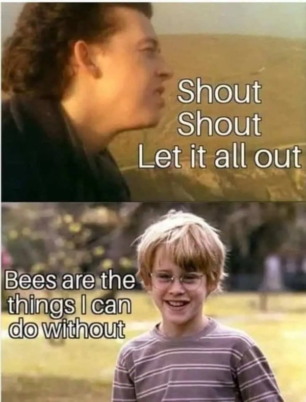 Music Memes (45 pics) Music Memes (45 pics)