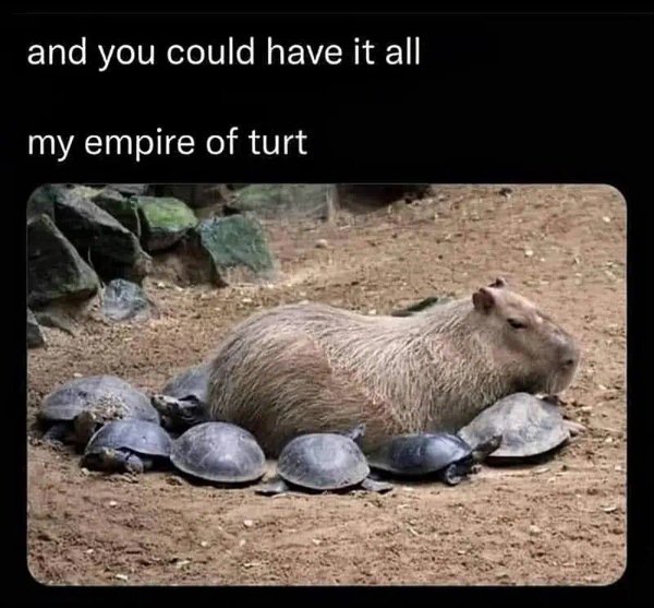 Music Memes (45 pics) Music Memes (45 pics)