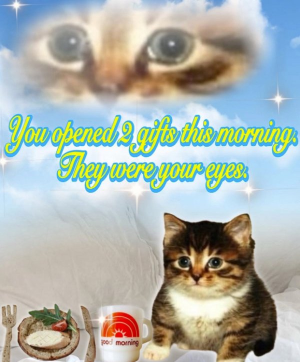 Kind Memes (49 pics)