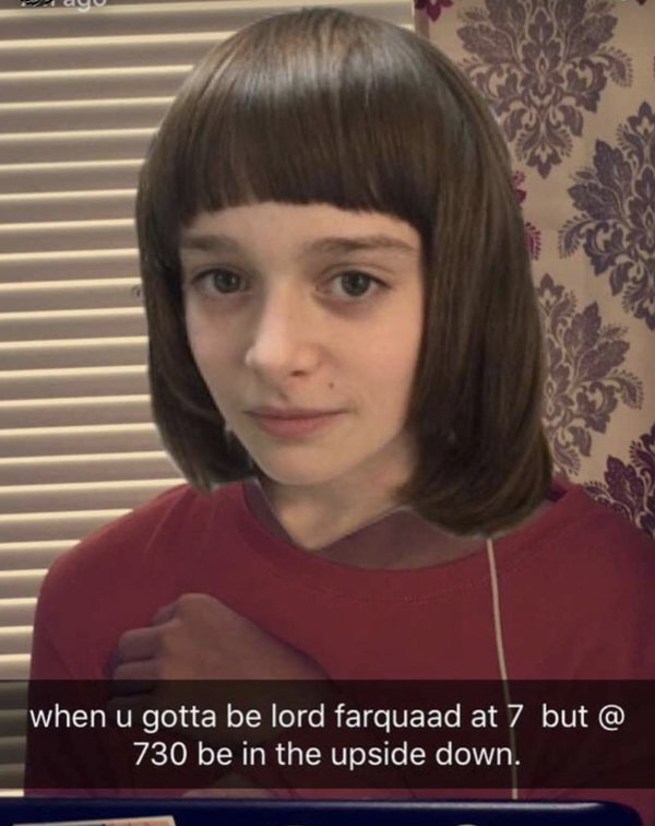 Jokes For ''Stranger Things'' Fans (36 pics)