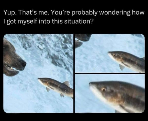 Funny Memes (28 pics)