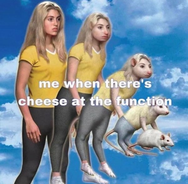 Memes For Cheese Lovers (43 pics)