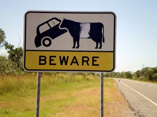 Weird Signs (30 pics)