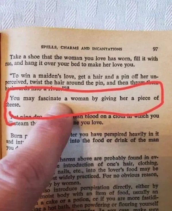 Memes For Cheese Lovers (43 pics)