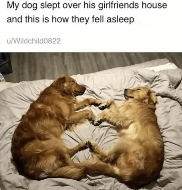 Kind Memes (49 pics)