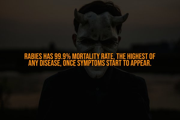 Creepy Facts (14 pics)