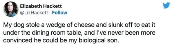 Memes For Cheese Lovers (43 pics)