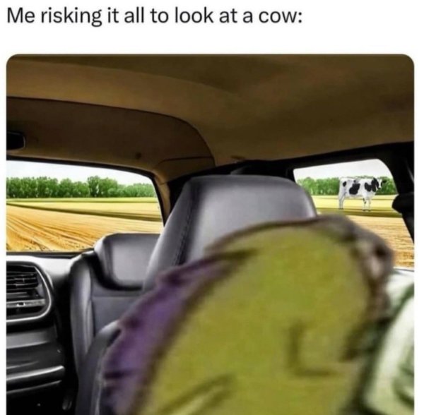 Kind Memes (49 pics)