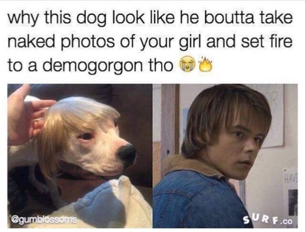 Jokes For ''Stranger Things'' Fans (36 pics)