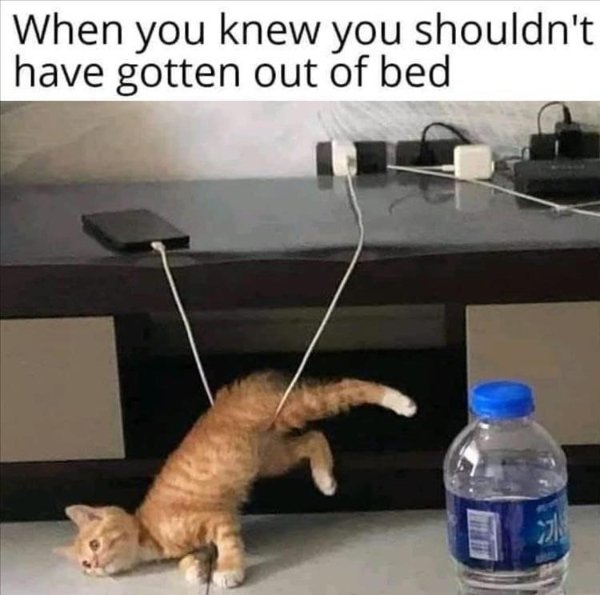 Memes About Sleep And Dreams (51 pics)