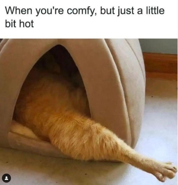 Memes About Sleep And Dreams (51 pics)