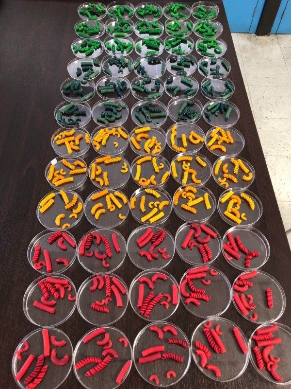 Photos For Perfectionists (37 pics) Photos For Perfectionists (37 pics)