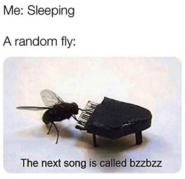 Memes About Sleep And Dreams (51 pics)