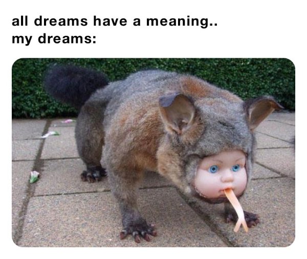 Memes About Sleep And Dreams (51 pics)