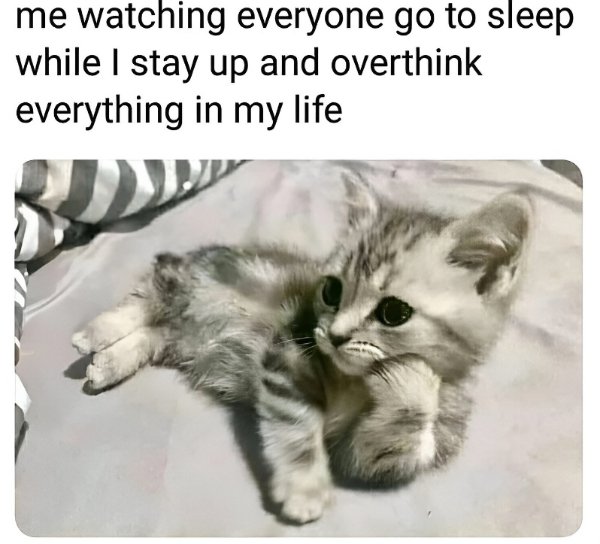 Memes About Sleep And Dreams (51 pics)