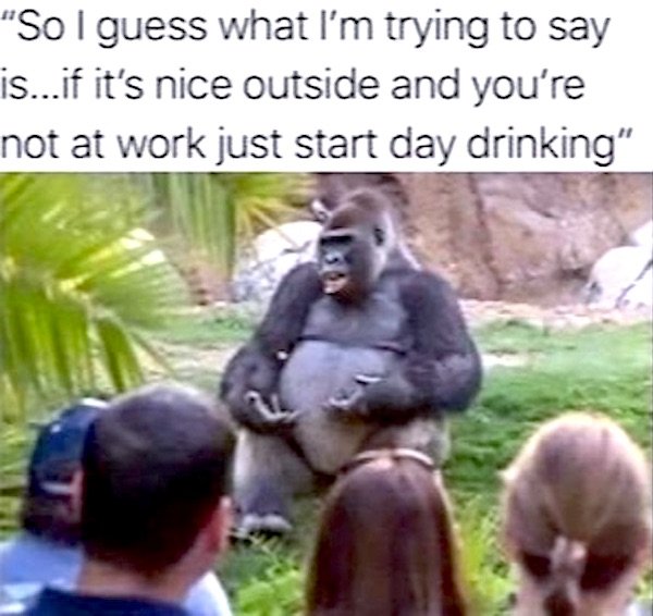 Funny Memes (28 pics) Funny Memes (28 pics)