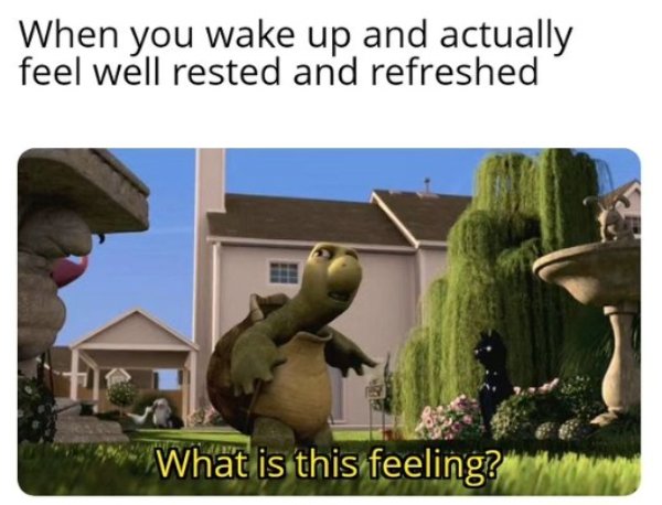 Memes About Sleep And Dreams (51 pics)