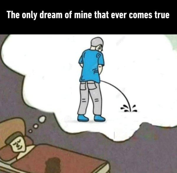 Memes About Sleep And Dreams (51 pics)