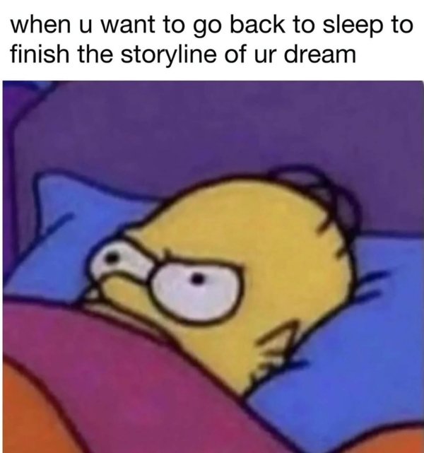 Memes About Sleep And Dreams (51 pics)