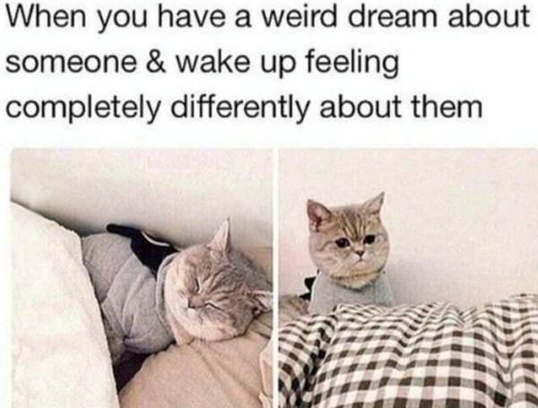 Memes About Sleep And Dreams (51 pics)