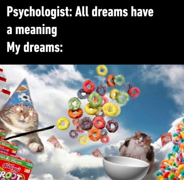 Memes About Sleep And Dreams (51 pics)