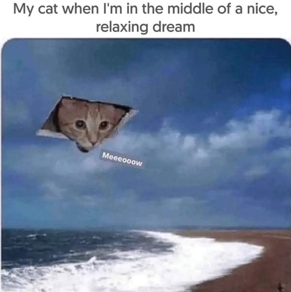 Memes About Sleep And Dreams (51 pics)