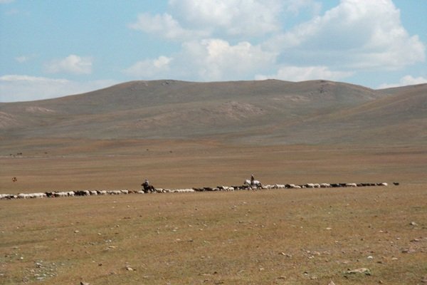 Interesting Historical Facts (17 pics)