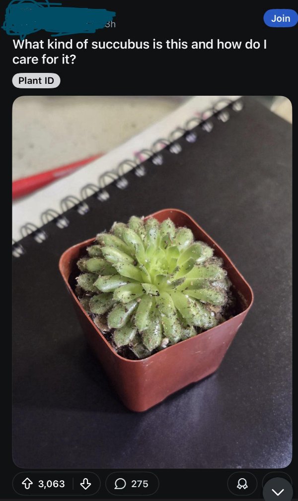 Translation Disasters (31 pics) Translation Disasters (31 pics)