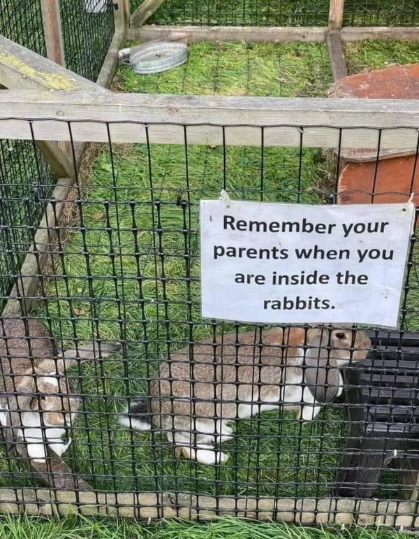 Translation Disasters (31 pics) Translation Disasters (31 pics)