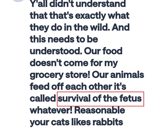 Translation Disasters (31 pics) Translation Disasters (31 pics)