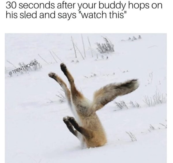 Winter Memes And Photos (21 pics) Winter Memes And Photos (21 pics)