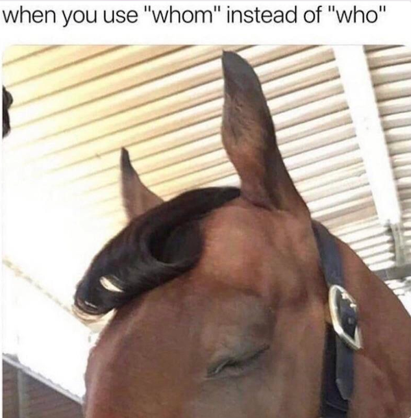 Funny Memes (32 pics) Funny Memes (32 pics)