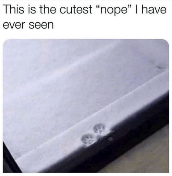 Winter Memes And Photos (21 pics) Winter Memes And Photos (21 pics)