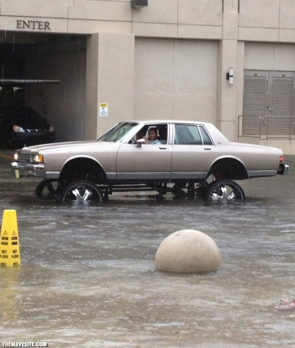 What Is Going On Here? (52 pics) What Is Going On Here? (52 pics)