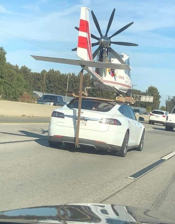 What Is Going On Here? (52 pics) What Is Going On Here? (52 pics)