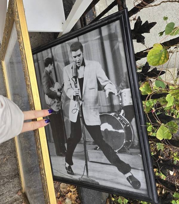 Cool Free Roadside Finds (25 pics) Cool Free Roadside Finds (25 pics)