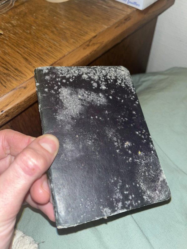 Bad Days Happen (21 pics)