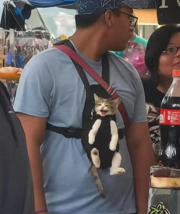 What Is Going On Here? (52 pics) What Is Going On Here? (52 pics)