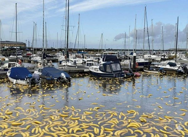 What Is Going On Here? (52 pics) What Is Going On Here? (52 pics)